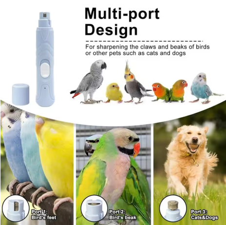 ✨ Ultra-quiet electric nail grinder for birds | Safe grooming kit for parrots and other birds 🦜