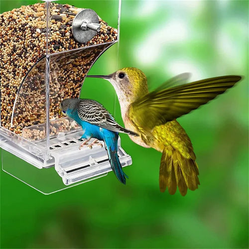 🦜 Premium No-Spill Bird Feeder | Automatic Seed & Water Dispenser for Parakeets & Cockatiels ✨