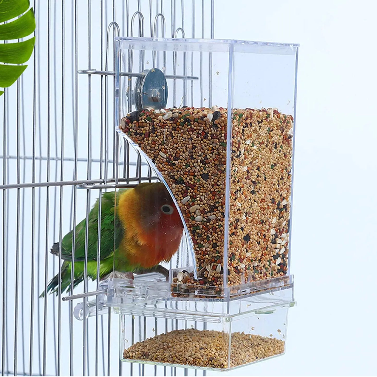 🦜 Premium No-Spill Bird Feeder | Automatic Seed & Water Dispenser for Parakeets & Cockatiels ✨