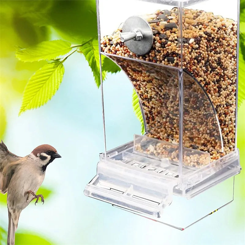 🦜 Premium No-Spill Bird Feeder | Automatic Seed & Water Dispenser for Parakeets & Cockatiels ✨
